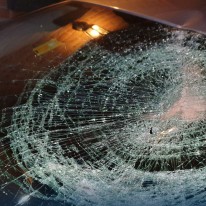 grote-drukte-meldkamer-bergnet-door-storm-eunice-04